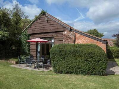 Oak Tree Barn